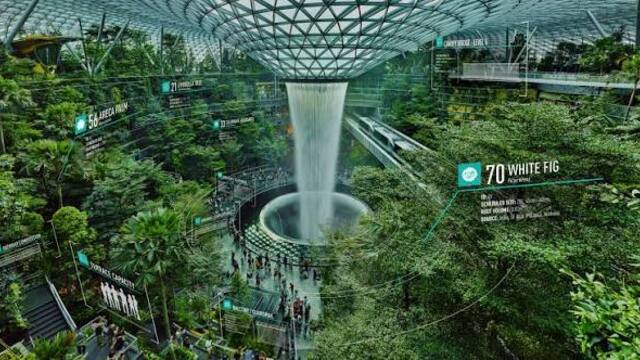 Bandara Termewah di Dunia